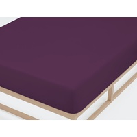 Castell Spannbettlaken Jersey 180 x 200 - 200 x