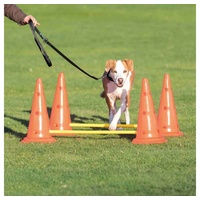 Trixie Dog Activity Hundespielzeug