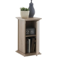 FMD Container »Essex«, Breite 30 cm, braun