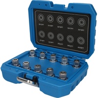 BRILLIANT TOOLS Felgenschloss-Sortiment für BMW, 10-tlg ,BT691290