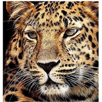 Pracht Creatives Hobby GmbH Diamond Painting Jaguar Kopf 40