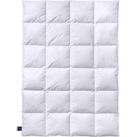 Billerbeck Ambiente Kassette II 155 x 220 cm