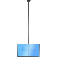 Startech FPCEILPTBLP