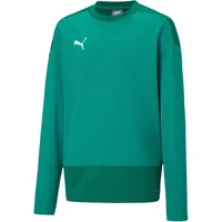Puma teamGOAL 23 Training Sweat Jr pepper green-power green