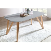 SalesFever Esstisch skandinavisches Design | grau