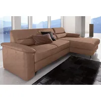 Sit&more Ecksofa SIT & MORE "Ascara L-Form", braun, B:251cm