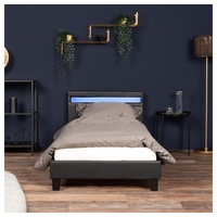 Home Deluxe Astro LED 90 x 200 cm schwarz