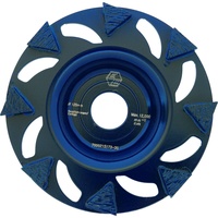 Eibenstock Diamant-Schleifteller Ø 125 mm -RAPID K-