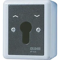 Jung Schlüsselschalter 10A 250V (834.28 G)