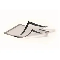 Durable Magnetrahmen DIN A4 silber magnethaftend 2St./Btl.DURABLE