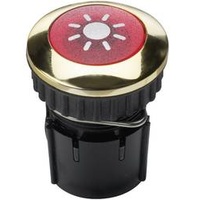 Grothe 63042 Klingeltaster 1fach Gold 12 V/1,5 A