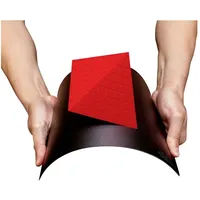 BuildTak FlexPlate System 220 x 220 mm FlexPlate BTFS220X220
