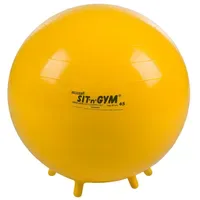 Gymnic Fitnessball Sit 'n' Gym 45 cm,