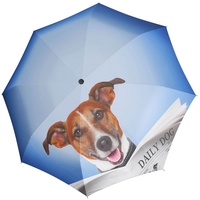 Doppler Modern Art Magic Mini Daily Dog