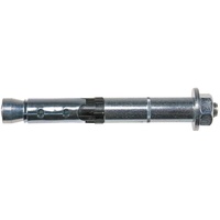 Fischer Hochleistungsanker FH II 24/100 B