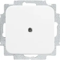 Busch-Jaeger Blindzentralscheibe aws mit Tragring 2538-214