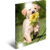 Herma Sammelmappe Tiere A4 hunde