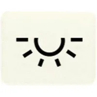 Jung Symbol ws LICHT 33 L