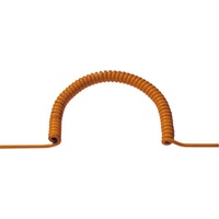 Bachmann Spiralleitung PUR 3G1,5/0,5m or 684.880