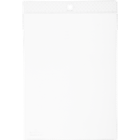 Durable 100 DURABLE Dokumentenschutzfolien transparent