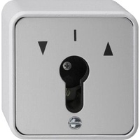 Gira 016330 Drehregler, Grau, 10 A 250 V~ 1