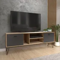 Forte Neyle TV-Lowboard 163,1 cm Schwarz Holzwerkstoff