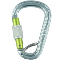 Edelrid Hms Bruce Steel Screw Fg II Silver (006)