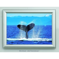 Showdown® Displays Klapprahmen silber 45,1 x 62,5 cm
