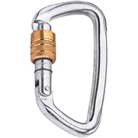 Climbing Technology Karabiner D-Shape SG Schrauber