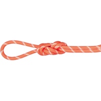 Mammut Alpine Classic 8.0 Mm Rope Rot 50 m