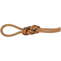 Mammut Alpine Dry 8.0 Mm Rope Orange 30 m