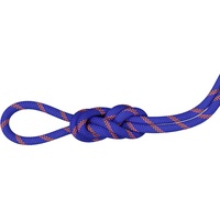 Mammut Alpine Sender Dry 9.0 Mm Rope Blau 40