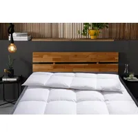 Otto Keller Daunenbettdecke OTTO KELLER "Star, Bettdecken für Sommer