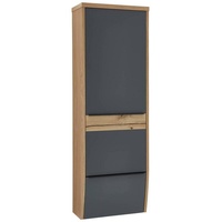 DIETER KNOLL Garderobenschrank, Grau, Eiche, furniert, massiv, 1 Fächer,