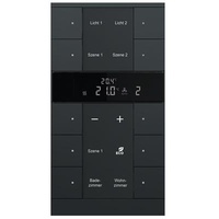 Busch-Jaeger SBR/U10.0.11-885