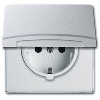 Busch-Jaeger Steckdoseneinsatz IP44 Silber 1 St.