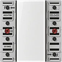 Jung Tastsensor-Modul 2fach AC/DC24V 2-k. 4Sp. A 5224 TSM