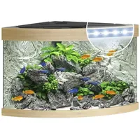 JUWEL AQUARIUM Aquarium Trigon 190 LED 1 Stück