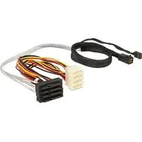 DeLock Internes SAS-Kabel