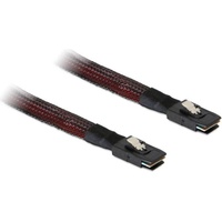 DeLock mini SAS