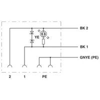 Phoenix Contact Sensor-/Aktor-Kabel SAC-3P- 3,0-PVC/A-1L-Z 1415905 Inhalt: 1 St.
