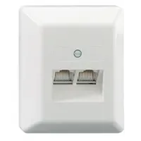 Rutenbeck Anschlußdose UAE 8/8(8/8) Ap rw