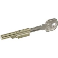 BASI 9000-1200 SS 12 Schlüssellochsperrer Schlüsselschloss
