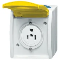 Busch-Jaeger 3015 EWN-53 Busch-Nema-Steckdose mit gelbem Klappdeckel