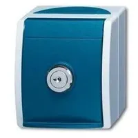Busch-Jaeger Schuko-Steckdose Einheitsschloss 20 EWSL-101-53