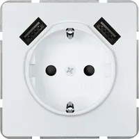 Siemens DELTA style USB-SCHUKO 5UB18701TW01