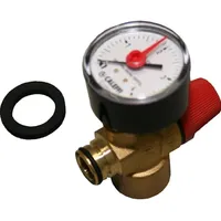 Bosch Buderus Sicherheitsventil mit Manometer