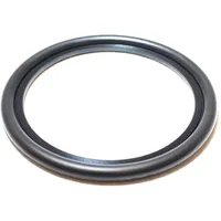 Buderus Dichtring WL 130-200, Herst-Nr. 63043454