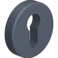 Hewi Schlüsselrosette 306.23PBKN 99 Ku.99 Schildst.10,5mm PZ