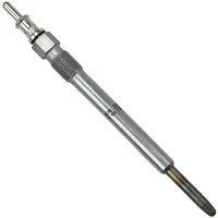 BorgWarner (Beru) (BERU) Glühkerze